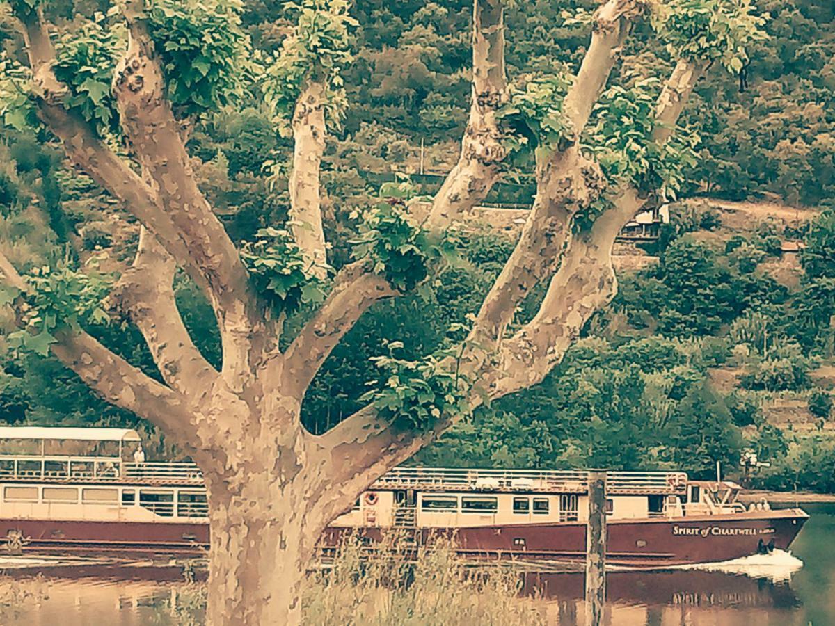 הוילה רסנדה Douro Balcony מראה חיצוני תמונה